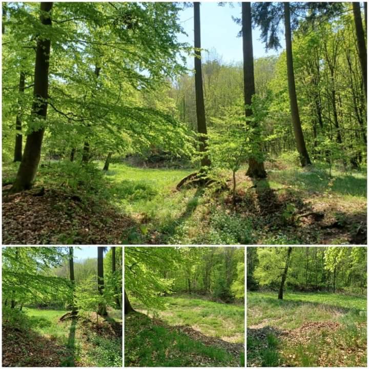 Ferienwohnung Am Sendberg Frielendorf Esterno foto